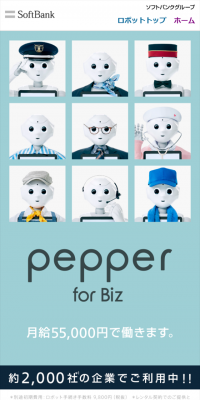 pepper for Biz