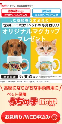 ペット保険 うちの子のLPデザイン（サービス・保険・金融／オレンジ系／信頼・安心系）スマホ版