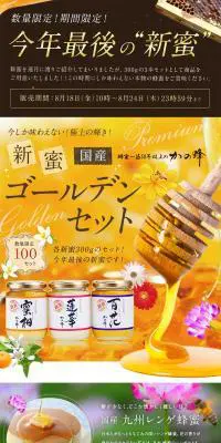 貴重な国産プレミアム蜂蜜新蜜のLPデザイン（食品／オレンジ系／かわいい系）PC版