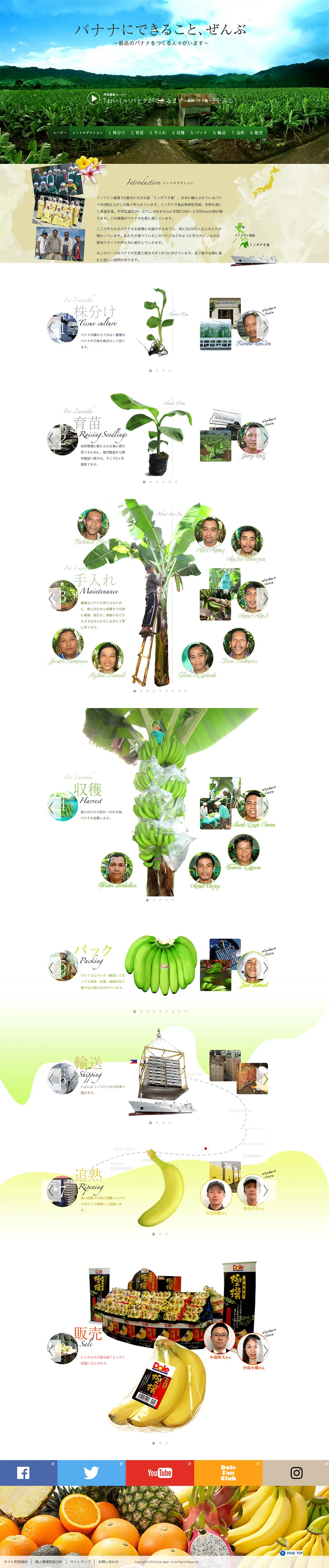 All that bananas can do. LP design (food / Green tones / Trust and Safety) PC version