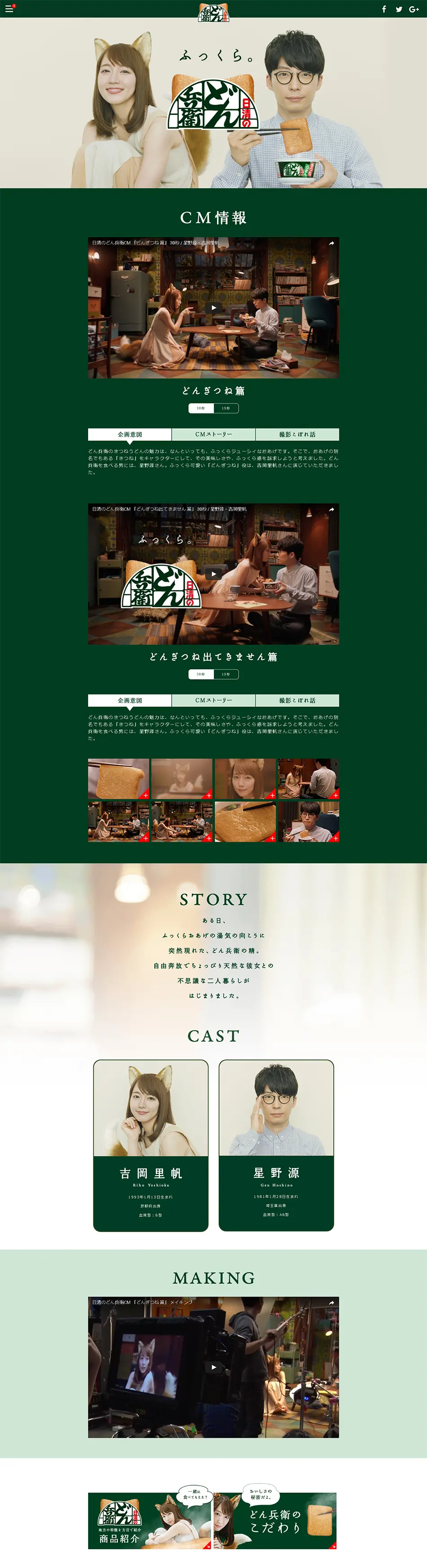 Nissin Donbei Commercial Information LP design (Noodles, Bread, and Flour-based Foods / Green tones / Simple) PC version