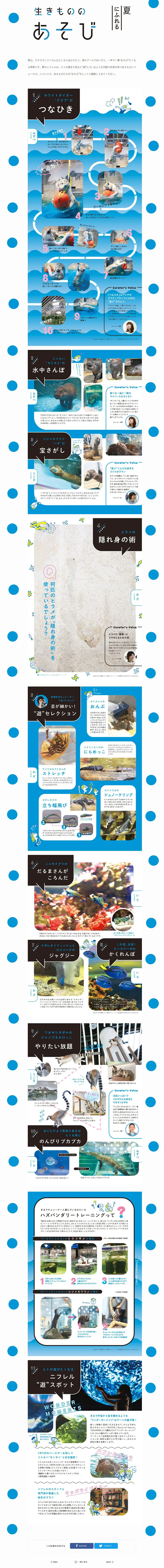 Play of living creatures LP design (Services, Insurance, and Finance / Shades of blue / Cute style) PC version
