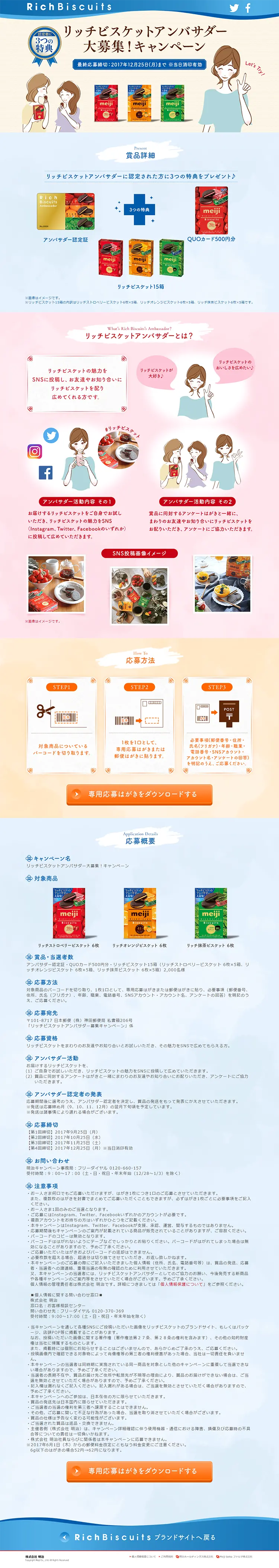 リッチビスケットアンバサダー大募集！キャンペーンのLPデザイン（サービス・保険・金融／ピンク系／かわいい系）PC版
