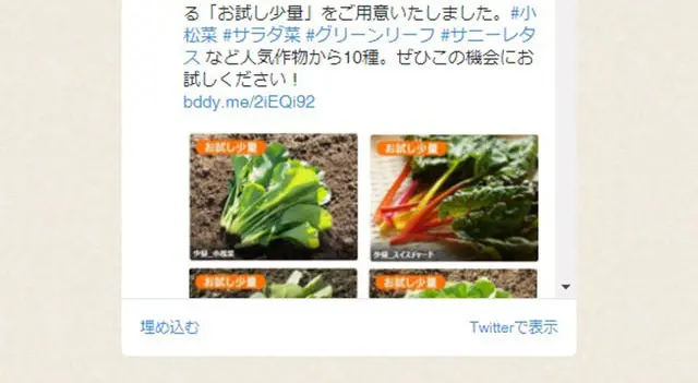 RaguriのLPデザイン（サービス・保険・金融／ベージュ系／ナチュラル系）スマホ版