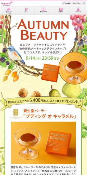 AUTUMN BEAUTY- オンラインショップのLPデザイン（インターネットサービス／イエロー系／アート・芸術系）スマホ版