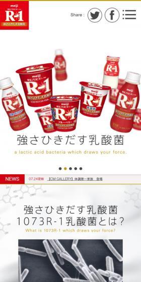 強さを引き出す乳酸菌