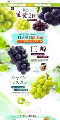食べ比べ葡萄2種入り厳選食材セットのLPデザイン（食品／グリーン系／アート・芸術系）PC版