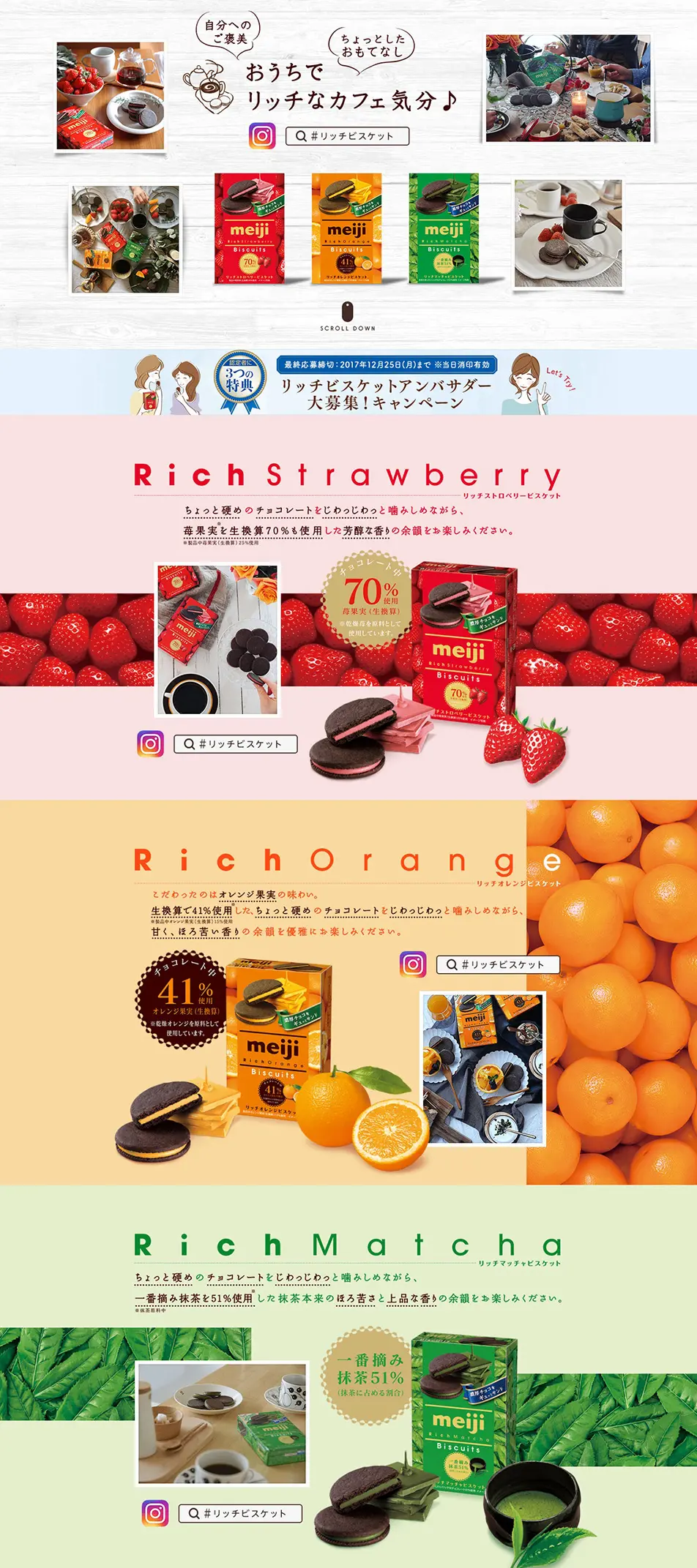 Rich Biscuit LP design (Sweets and Snacks / Shades of grey / Cute style) PC version