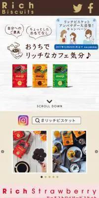 リッチビスケットのLPデザイン（スイーツ・スナック菓子／グレー系／かわいい系）スマホ版