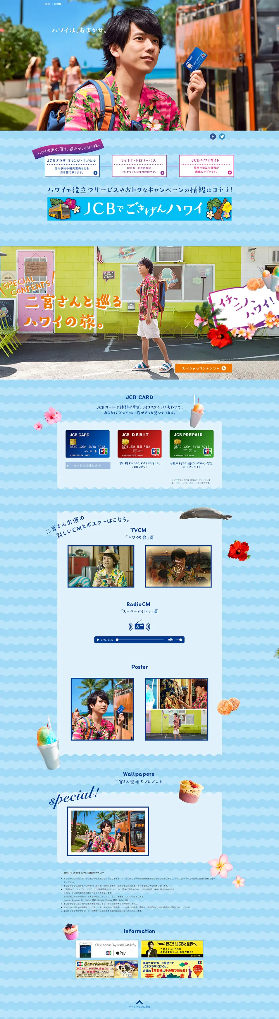 Leave Hawaii to us. LP design (Insurance, Finance, Credit / Shades of blue / Cute style) PC version