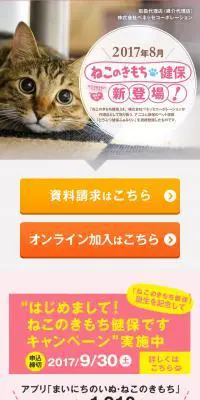 ねこのきもち健保のLPデザイン（サービス・保険・金融／ピンク系／シンプル系）スマホ版