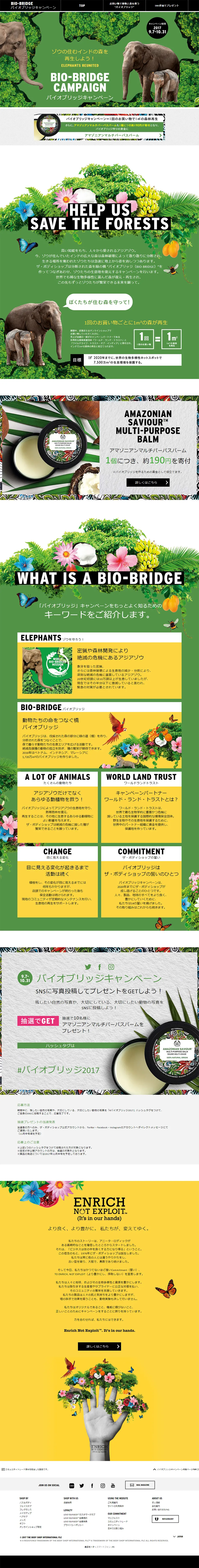 Bio-Bridge Campaign Special Feature LP design (Beauty, Skincare, Fragrance / Green tones / Arts) PC version