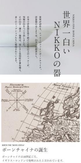 The World's Whitest NIKKO Tableware