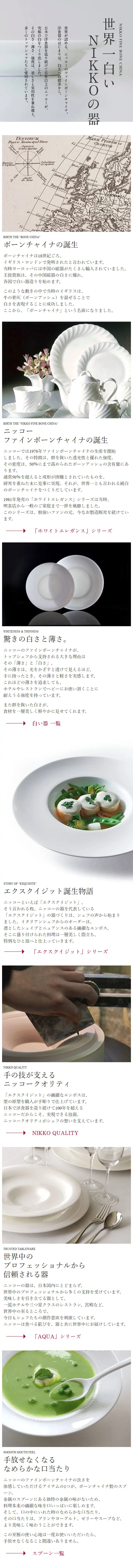 NIKKO FINE BONE CHINA LP design (goods / White-based / Simple) Mobile version