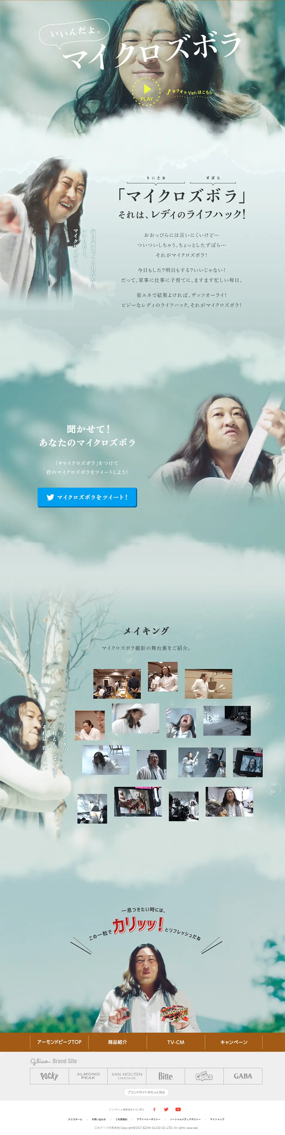 Robert Akiyama's "Microzubora" LP design (Sweets and Snacks / Shades of grey / Arts) PC version