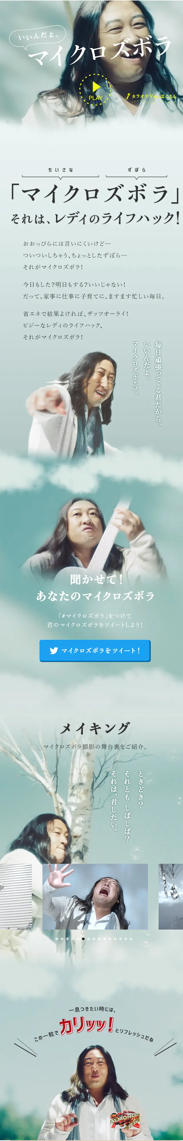 Robert Akiyama's "Microzubora" LP design (Sweets and Snacks / Shades of grey / Arts) Mobile version