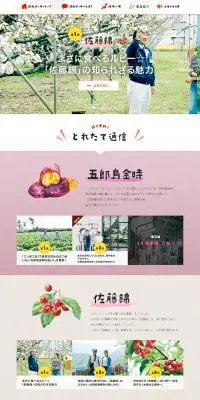 地元とつくる、地元ポッキーのLPデザイン（スイーツ・スナック菓子／ホワイト系／シンプル系）PC版