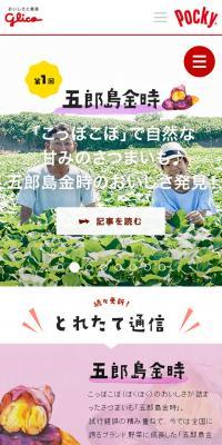 Local Pocky, created with the local community.