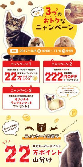 3つのおトクなニャンペーンのLPデザイン（ペット・花・DIY工具／ベージュ系／かわいい系）スマホ版