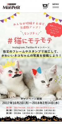Be popular with cats thanks to MonPetit