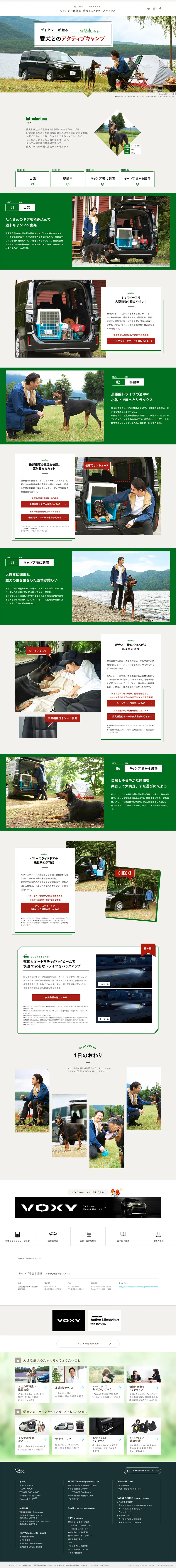 Car camping with my dog LP design (Cars, Motorcycles, Bicycles / Green tones / Simple) PC version