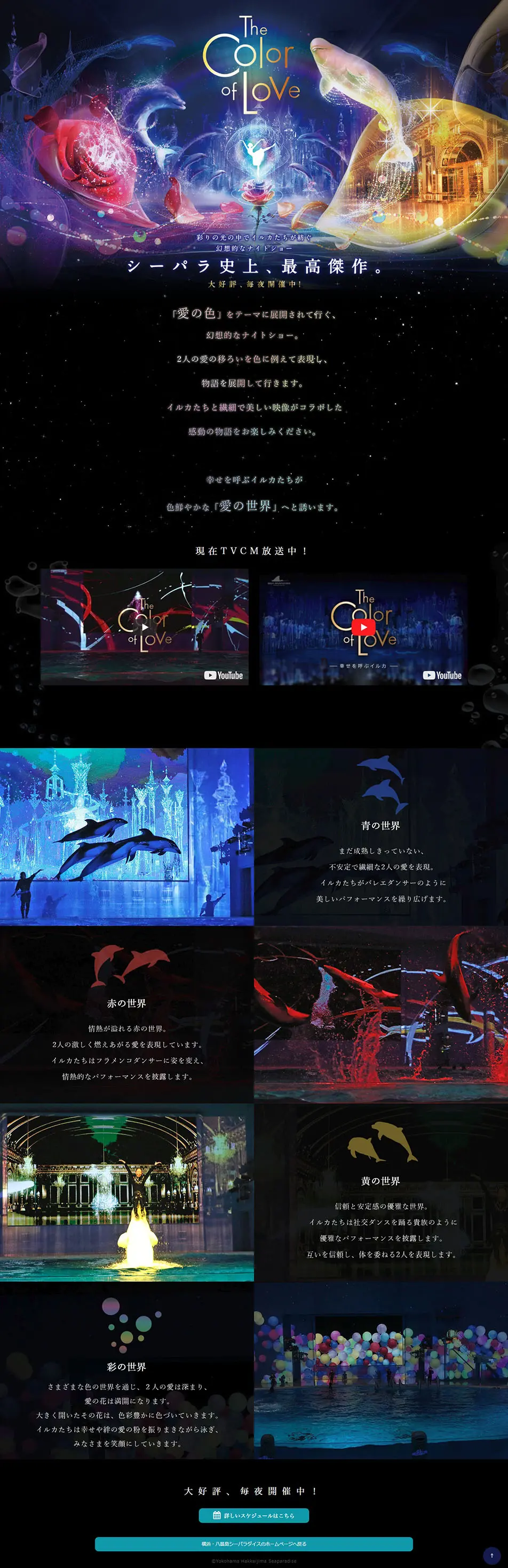 The Color of Love LP design (Events, Campaigns, Experiences / Black-colored / Arts) PC version