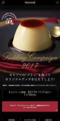 Pudding Campaign 2017