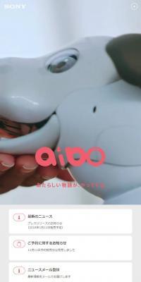aibo