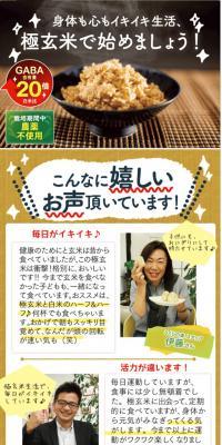 逸品屋・極玄米