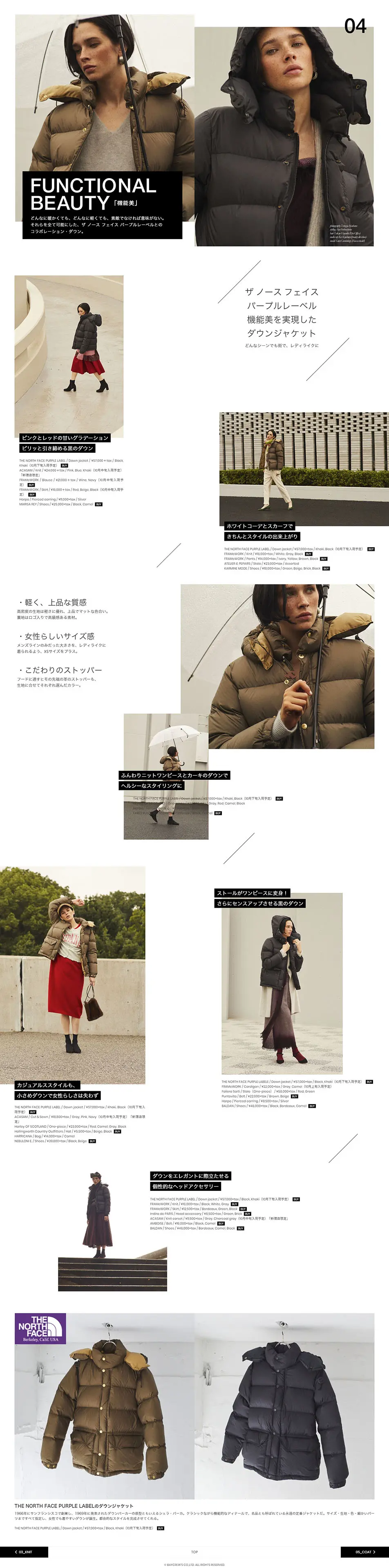 FUNCTIONAL BEAUTY LP design (fashion / Brown tones / Simple) PC version