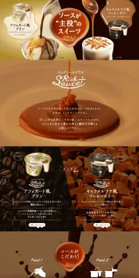 リッチソースプラスのLPデザイン（スイーツ・スナック菓子／ブラウン系／アート・芸術系）PC版