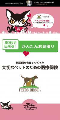 Pet Medical Insurance