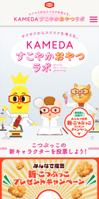 Healthy Snack Lab