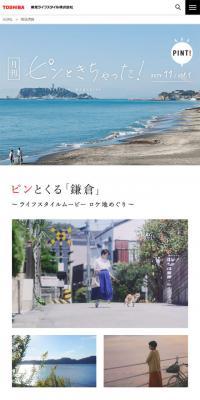 月刊ピンときちゃった！