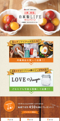 Homemade LIFE Campaign with Vinegar and Vegetables