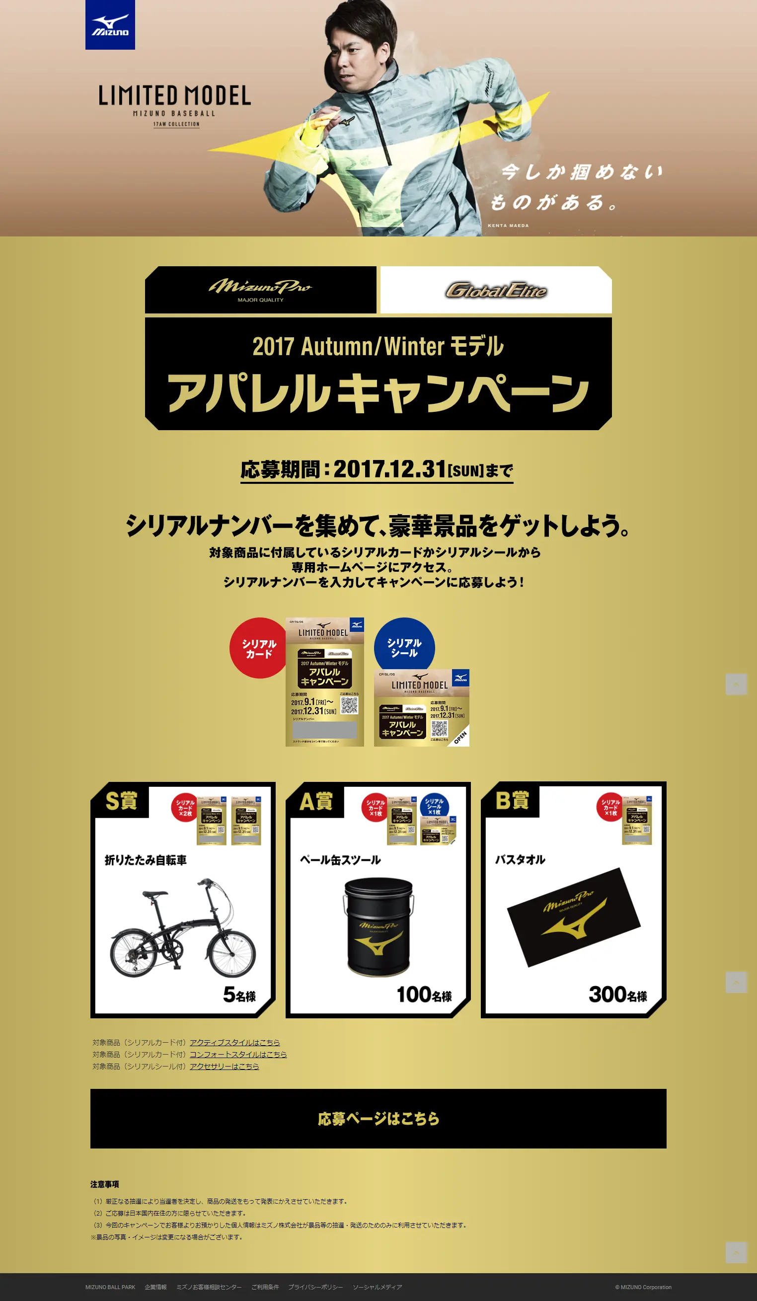 Apparel Campaign LP design (Services, Insurance, and Finance / Gold tones / Cool style) PC version
