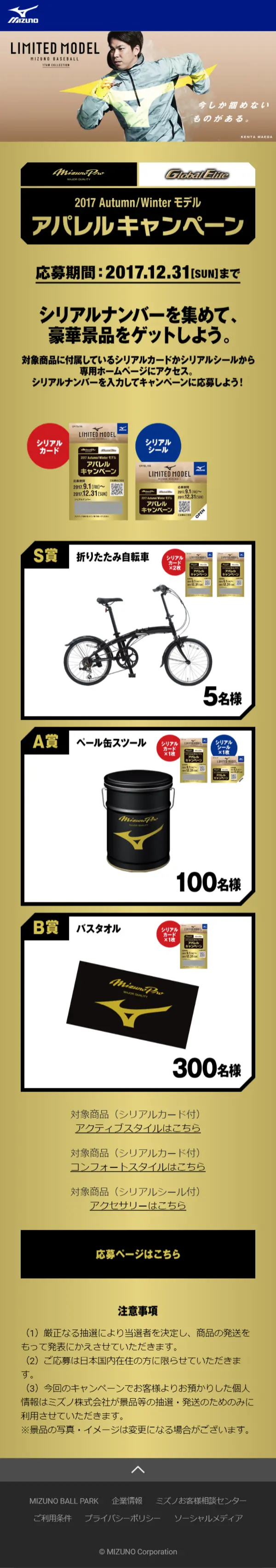 Apparel Campaign LP design (Services, Insurance, and Finance / Gold tones / Cool style) Mobile version