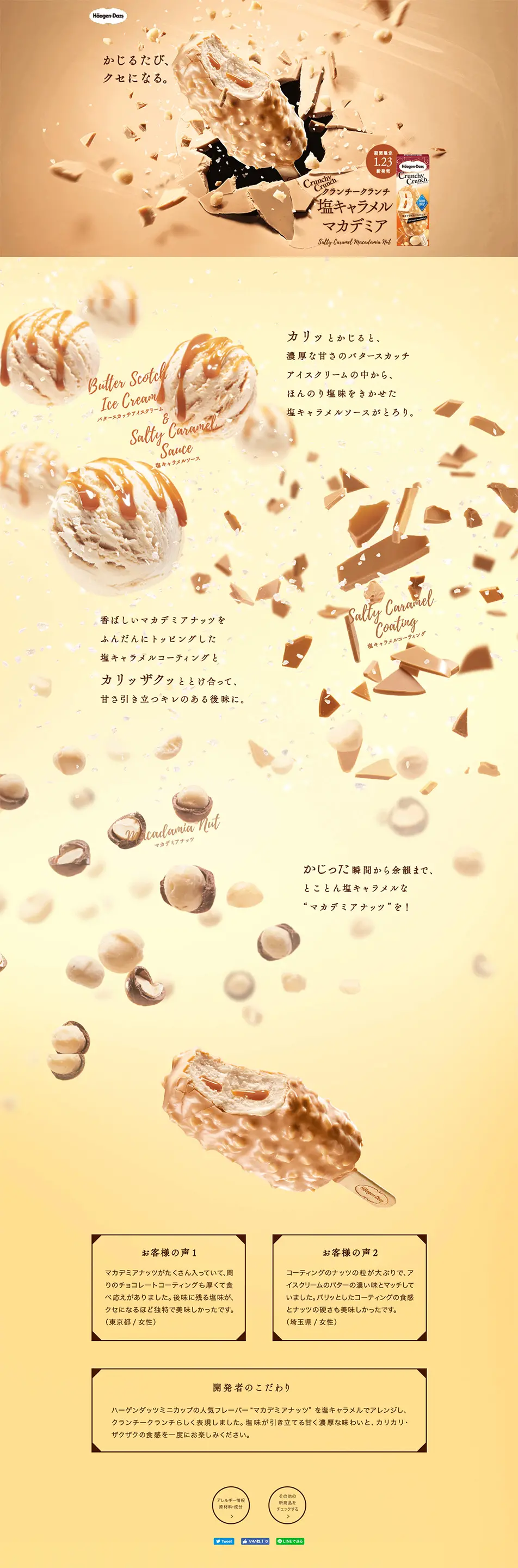 クランチークランチ 塩キャラメルマカデミアのLPデザイン（スイーツ・スナック菓子／ベージュ系／アート・芸術系）PC版