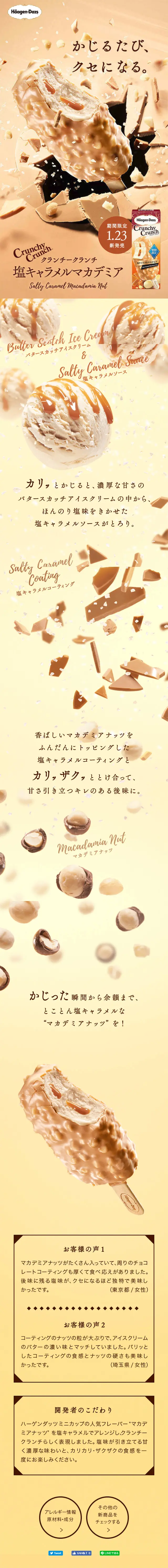 クランチークランチ 塩キャラメルマカデミアのLPデザイン（スイーツ・スナック菓子／ベージュ系／アート・芸術系）スマホ版