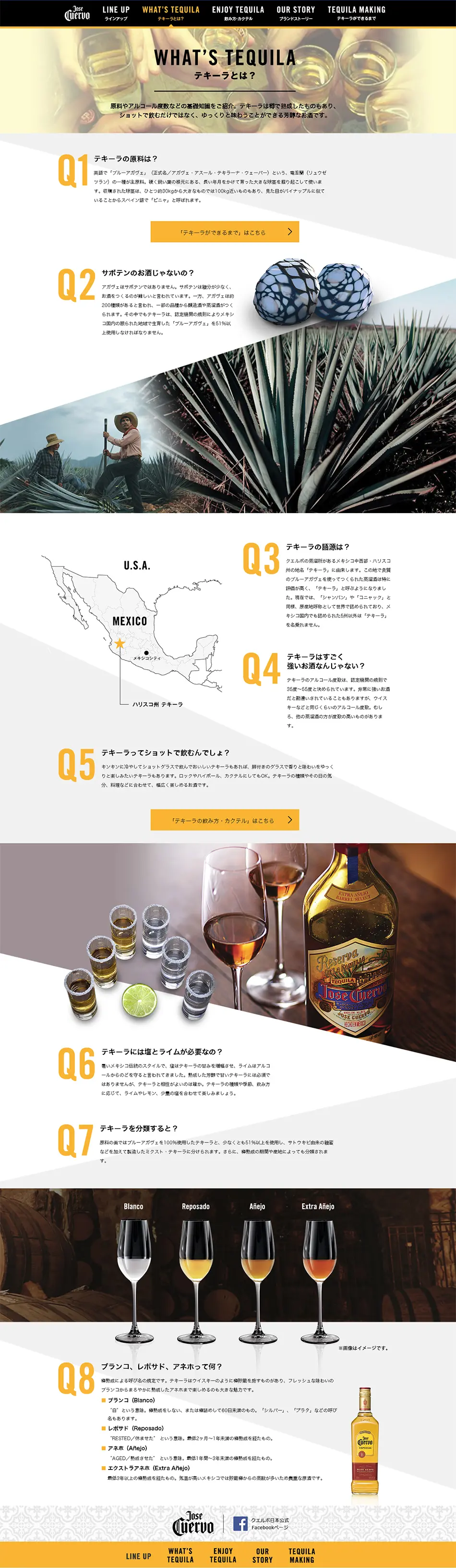 Tequila LP design (Other alcoholic drinks / yellow / Cool style) PC version
