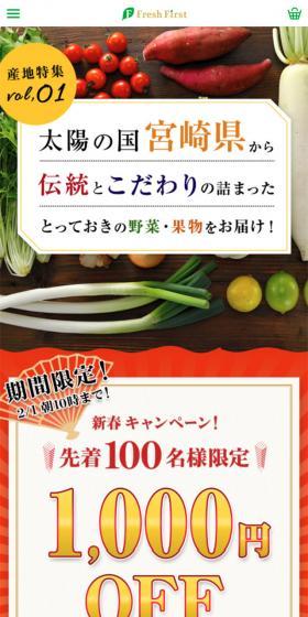 太陽の国宮崎県から伝統とこだわりの詰まったとっておきの野菜・果実をお届け