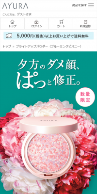 Bright Up Powder
