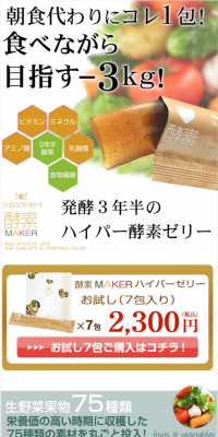 Saladament Kouso MAKER (20g x 14 sachets)
