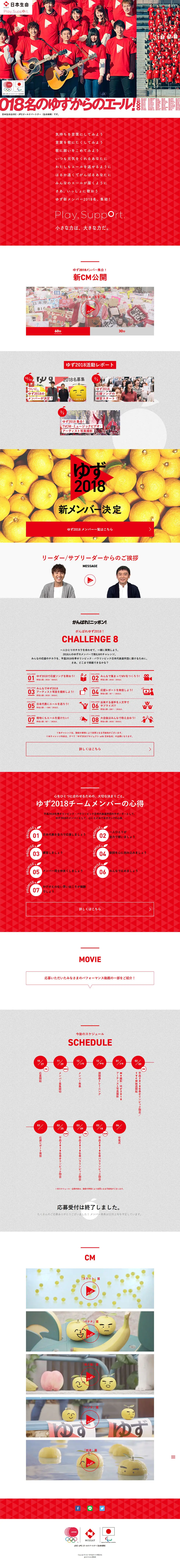 Yuzu 2018 LP design (Services, Insurance, and Finance / Red tones / Strong) PC version