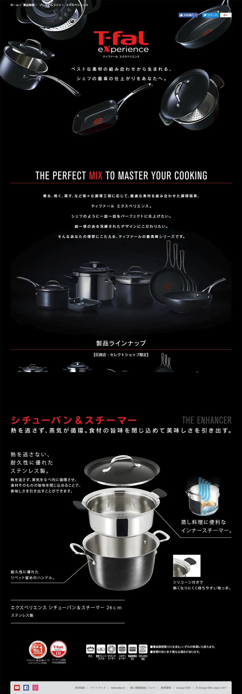 Experience LP design (goods / Black-colored / Cool style) PC version