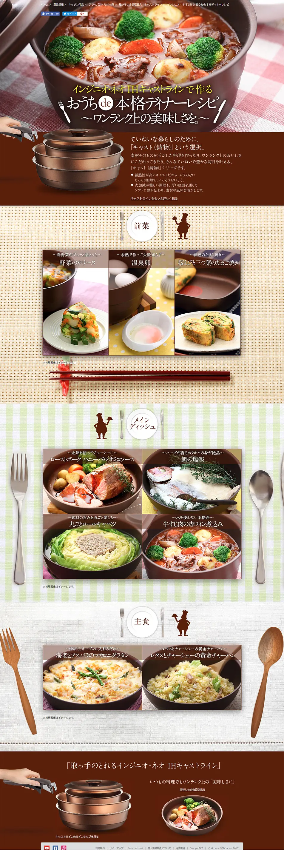 T-fal Cast Line: Cast Frying Pans and Pots LP design (goods / Brown tones / Natural style) PC version