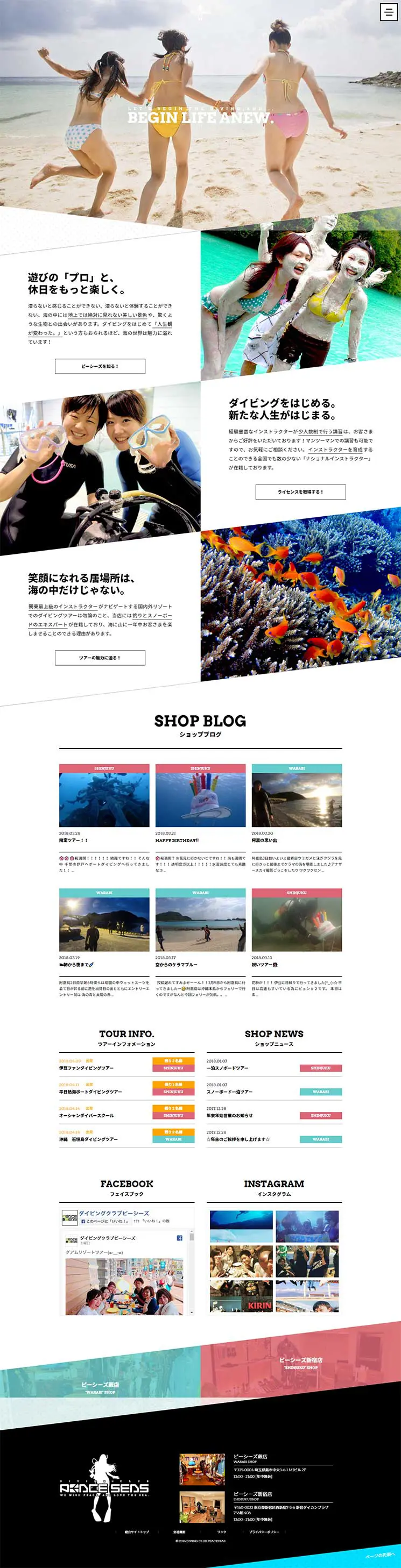Pieces LP design (Businesses, companies, stores / Pink shades / Refreshing type) PC version