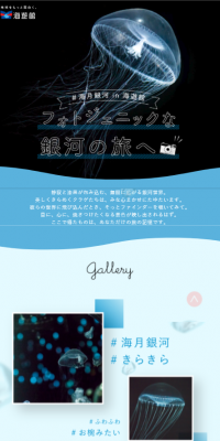 海遊館クラゲ展示エリア「海月銀河」
