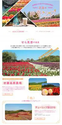広島の絶景トリップ特集！ 四季折々の花々や大自然を満喫のLPデザイン（旅行・アウトドア／ピンク系／かわいい系）PC版