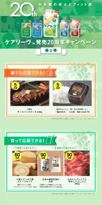 ケアリーヴ発売20周年キャンペーンのLPデザイン（サービス・保険・金融／グリーン系／キレイ系）PC版